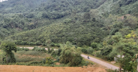 Bán đất rừng xã Kim Lập Hòa Bình 11.3ha 0379044402