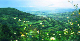 Bán đất cao nguyên Vân Hòa Phú Yên - LH: 0768984078