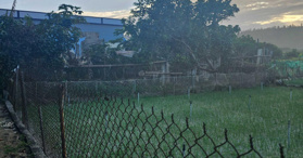 Bán đất vườn tại Lý Sơn, xã An Hải, Lý Sơn, Quảng Ngãi 800 m² - LH: 0916914268