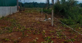 Bán lô đất QL14 tại Quảng Tín, Đăklấp, Đăk Nông - LH: 0934166361