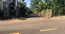 Bán đất tại Đường Tây Kim, Xã Gia Kiệm, Thống Nhất, Đồng Nai- LH: 0335458537