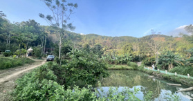 Bán đất tại đường Quốc Lộ 12B 2000m2 - LH 0985259469