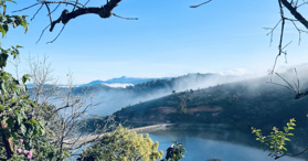 Tôi chính chủ, cần cho thuê Mimoza Homestay, khu săn mây Cầu đất, Đà Lạt