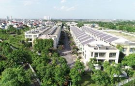 Dự án Arden Park