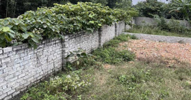 Bán đất xã Bảo Thành, Yên Thành, Nghệ An 259 m² - LH: 0972345869