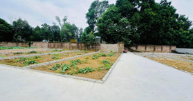 Bán đất tái định cư xã Đồng Tâm, huyện Mỹ Đức, Hà Nội - LH: 0917430699