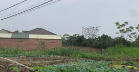 Bán đất tại Xã Cao Xá, Tân Yên, Bắc Giang 0365322113