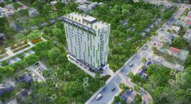 Dự án Harina View
