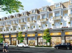 Dự án Khu đô thị Mạnh Đức