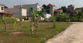 Bán đất tại Xã Đồng Tiến, Yên Thế, Bắc Giang 0365322113