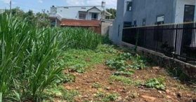 Bán đất MTD Huỳnh Thị Đê, Bạc Liêu, Giá cực mềm. 120m2 - LH: 0961510806