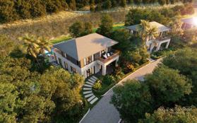Dự án The Forest Villas