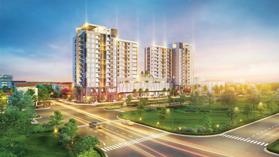 Dự án Urban Hill