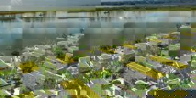 Dự án X2 Hội An