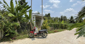 Bán đất Giồng Trôm, Giồng Nâu, Nhuận Phú Tân - LH: 0903793929