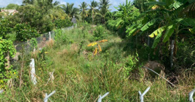 Bán đất tại Đường Tỉnh lộ 902, Mang Thít, Vĩnh Long - LH: 0909458826