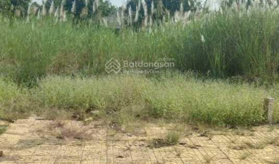 Bán đất mặt tiền Tỉnh Lộ 919 huyện Vĩnh Thạnh, Cần Thơ - LH: 0783138222