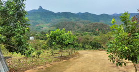 Bán đất Đạ M''ri. Đạ Huoai Lâm Đồng- LH: 0965956449