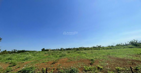 Chính chủ bán gấp 1.1 sào thổ cư  Đam Bri, Lâm Đồng- LH: 0931273969