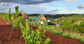 Bán gấp 1.1 sào đất thổ cư Đam Bri, Bảo Lộc- LH: 0931273969