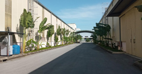 Cho thuê kho, xưởng khu Bình Giang, Hải Dương - LH: 0946666460