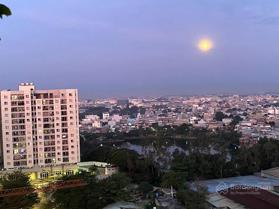 Chung cư Võ Đình