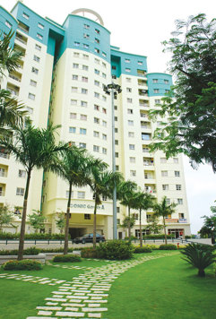 Dự án Conic Garden