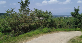 Bán 2 lô đất tổng diện tích 3,4ha tại xã Ea Bar, huyện Sông Hinh, Phú Yên - LH:0794045518