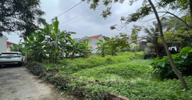 Bán đất lõi khu công nghiệp Thái Hà Hà Nam giá chỉ 3,xtr/m2. .LH - 0967451899