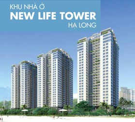 Dự án New Life Tower