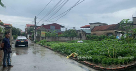 Bán đất tại đường 20A, Xã Cổ Bi, Bình Giang, Hải Dương - LH: 0919933260