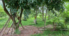 Thanh lý BĐS tại xã Tân Quang, TP Sông Công, Thái Nguyên. LH 0919933260