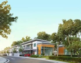 Dự án Palm Town