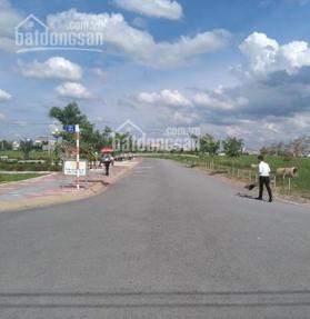 Dự án The Unicity