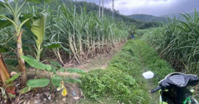 Bán đất tại Xuân Lộc Sông Cầu Phú Yên 1500m2 - LH: 0337982364