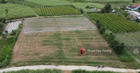 Bán đất 3721m2 sổ hồng riêng thổ cư sẵn 400m2 có 2 mặt tiền, Gia Lai - LH: 0933500823