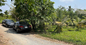Bán khu đất 15.886m2 Xã Bình Hòa Nam, Đức Huệ, Long An- LH: 0977570006