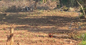 Bán lô đất 595.4m2 Đảo Phú Quý sổ hồng riêng đường trên sổ - LH: 0933500823