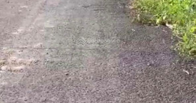 Bán đất tại xã Phước Thiện, Bù Đốp, Bình Phước, diện tích 1.2ha - LH: 0924376253