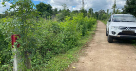 Bán Gấp Lô Đất Xã Lâm San, Huyện Cẩm Mỹ, Tỉnh Đồng Nai - LH: 0933335698