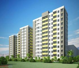 Dự án Chung cư Hoàng Quy