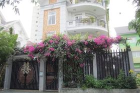 Dự án Khu dân cư Tấn Trường