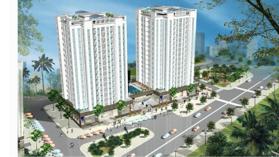 Dự án Long Phụng Apartment