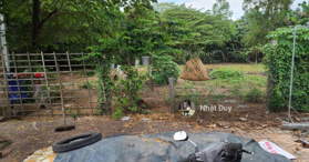 Bán gấp lô đất cách Vincom Plaza 400m, Đ.Tạ Uyên, Phường 1, Cà Mau - LH: 0767411005