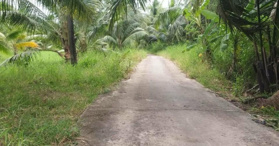 Bán đất tại An Ngãi Trung, Ba Tri, Bến Tre - LH: 0968064256