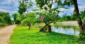 Bán đất 2 mặt tiền trước sau 20x50m tại Cẩm Mỹ, Đồng Nai - LH: 0949400978