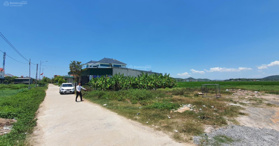 Bán đất tại xã Tân Thành, huyện Yên Thành, tỉnh Nghệ An - LH: 0965833502