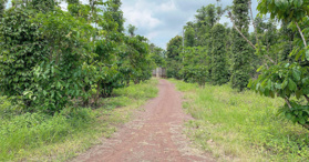 Bán đất tại xã Bàu Chinh, huyện Châu Đức, BRVT - LH: 0372107725