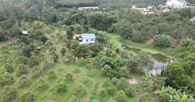 Bán  gần 2 mẫu đất Xà Bang, huyện Châu Đức, Bà Rịa Vũng Tàu- LH: 0372107725