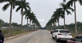 Bán nhanh đất nền biệt thự nhà vườn giá cắt lỗ, Xã Tiền Phong, Mê Linh, Hà Nội- LH:  0969591911